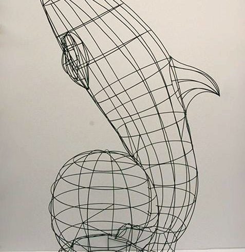 delfinas dolphine topiary topiari augalu skulptura