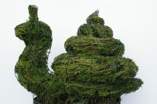 topiari augalu skulptura sraige