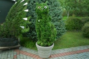 topiary cat kate augalu skulptura