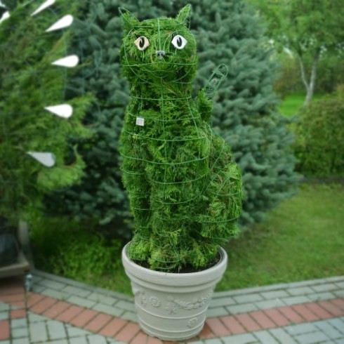 topiary cat kate augalu skulptura