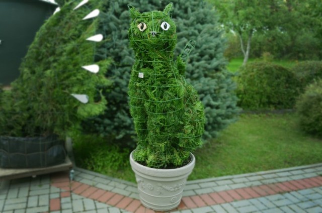 topiary cat kate augalu skulptura