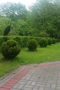 augalu karpymas