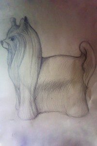topiary dog