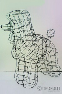 pudelis dog topiary topiari augalu skulptura