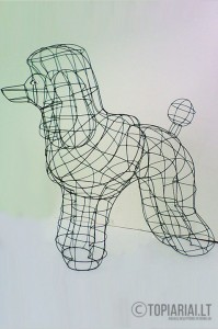 pudelis dog topiary topiari augalu skulptura