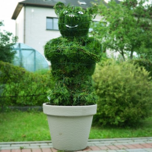 bear topiary augalu skulptura meskiukas