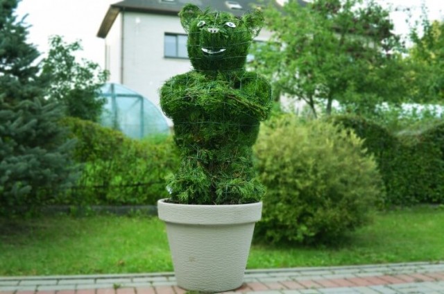 bear topiary augalu skulptura meskiukas