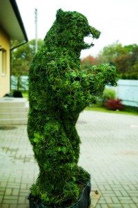 topiari bear meska grizlis topiary