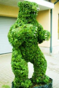 topiari bear meska grizlis topiary