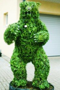topiari bear meska grizlis topiary