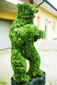 topiari bear meska grizlis topiary