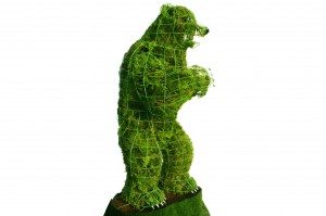 bear topiary topiari augalu skulptura meska