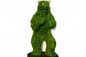 bear topiary topiari augalu skulptura meska