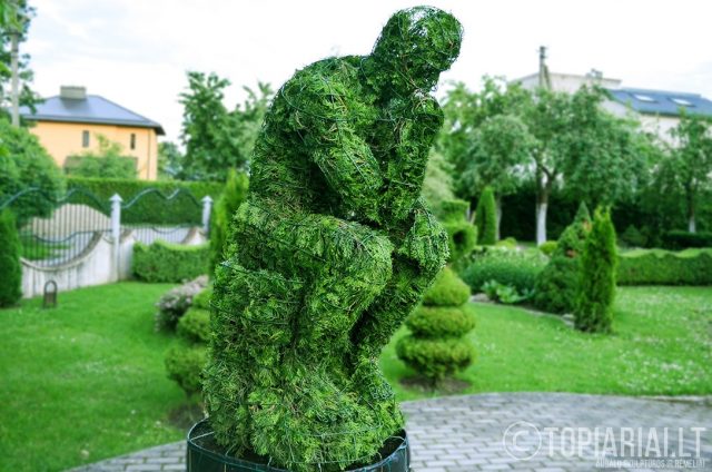 mastytojas topiary topiari augalu skulptura
