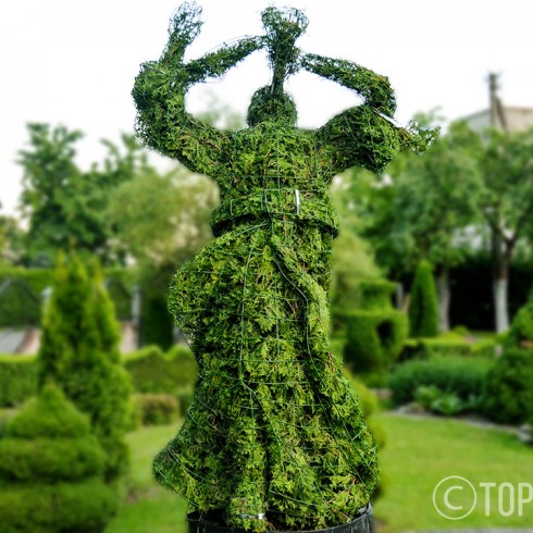 topiary topiari augalu skulptura