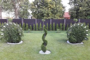 povas topiary