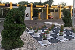 mastytojas thinker topiary