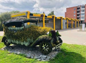 auto old car topiary