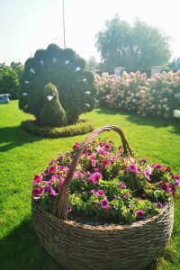 topiari topiary