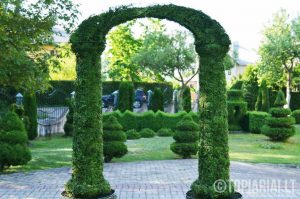 Augalu skulptura arka remas topiary topariai