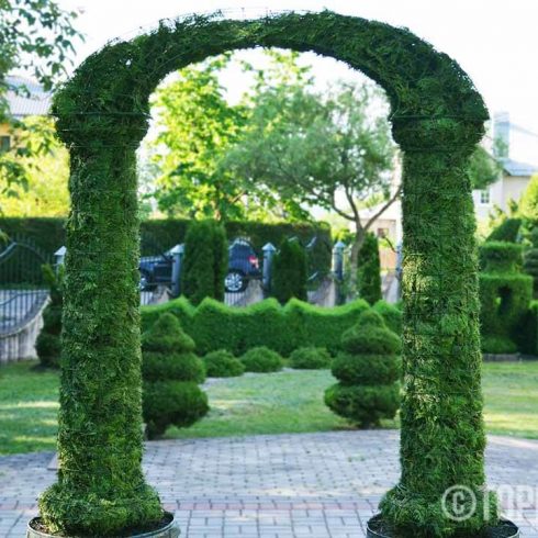 Augalu skulptura arka remas topiary topariai