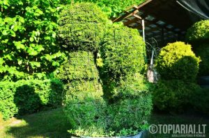 Augalu skulptura grybu porele grybai remas topiary topariai