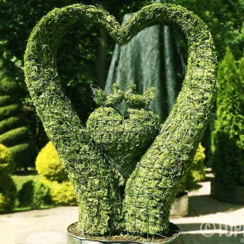 sirdeles sirdele Augalu skulptura arka remas topiary topariai