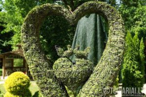 sirdeles sirdele Augalu skulptura arka remas topiary topariai