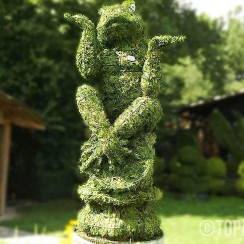 varle pinigai remas topiary augalu skulptura tujos