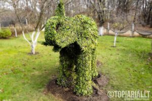 dramblys remas topiary augalu skulptura tujos