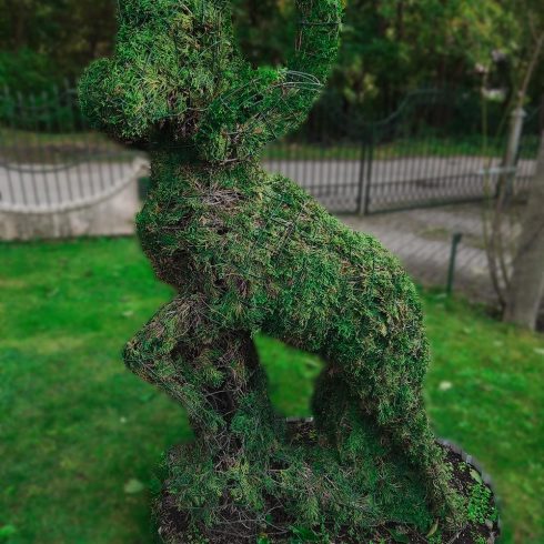 zodiako zenklas avinas remas topiary augalu skulptura tujos