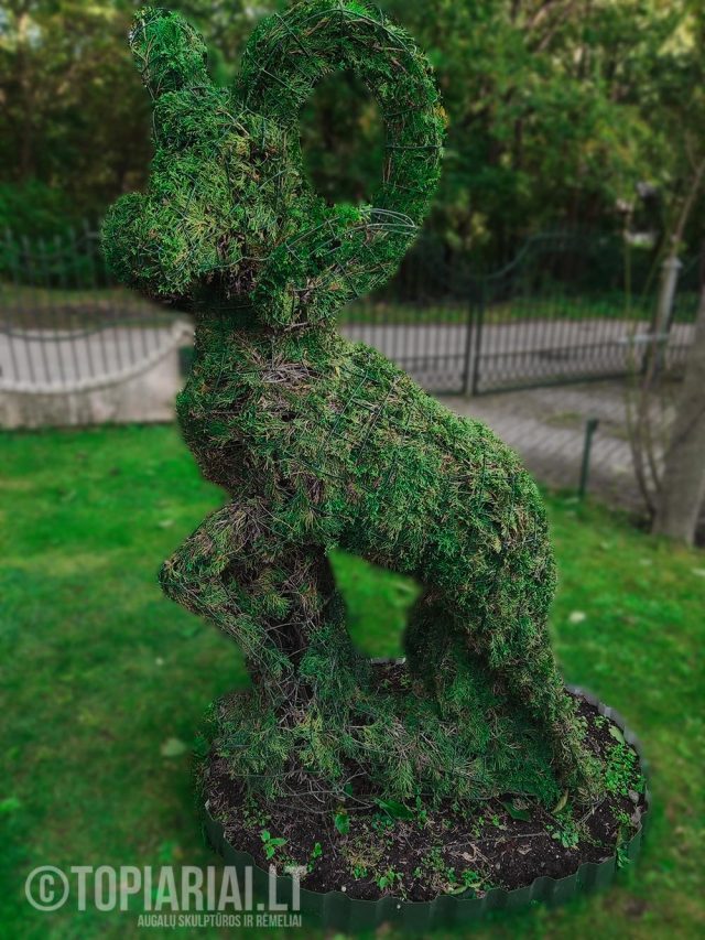 zodiako zenklas avinas remas topiary augalu skulptura tujos
