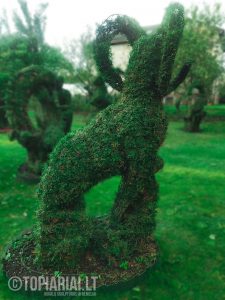 zodiako zenklas avinas remas topiary augalu skulptura tujos
