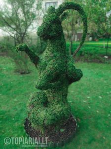 zodiako zenklas oziaragis remas topiary augalu skulptura tujos