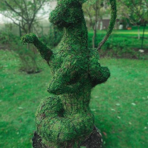 zodiako zenklas oziaragis remas topiary augalu skulptura tujos