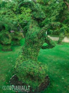 zodiako zenklas oziaragis remas topiary augalu skulptura tujos