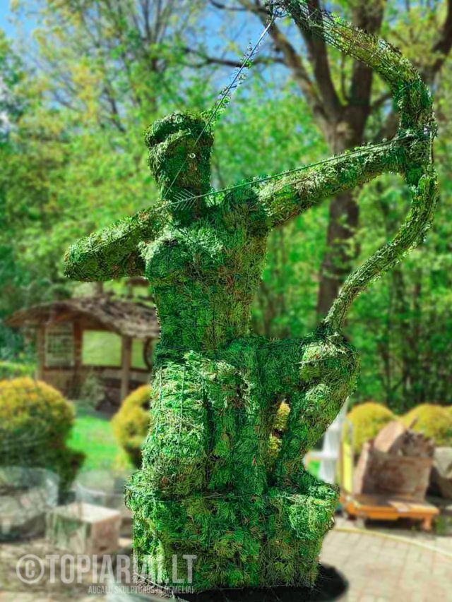 zodiako zenklas saulys remas topiary augalu skulptura tujos