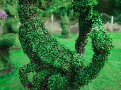zodiako zenklas skorpionas remas topiary augalu skulptura tujos