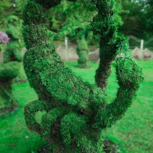zodiako zenklas skorpionas remas topiary augalu skulptura tujos