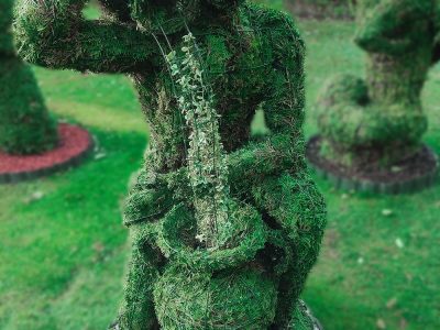 zodiako zenklas vandenis remas topiary augalu skulptura tujos