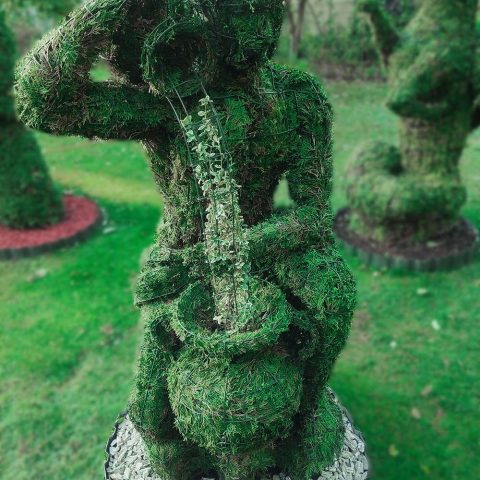 zodiako zenklas vandenis remas topiary augalu skulptura tujos