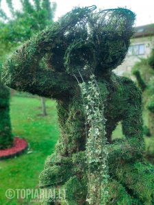 zodiako zenklas vandenis remas topiary augalu skulptura tujos
