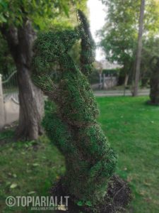 zodiako zenklas vezys remas topiary augalu skulptura tujos
