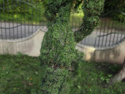 zodiako zenklas vezys remas topiary augalu skulptura tujos