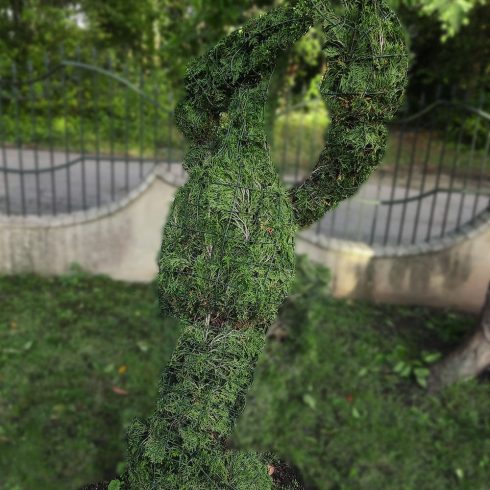 zodiako zenklas vezys remas topiary augalu skulptura tujos
