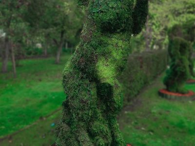žirgas arklys vytis remas topiary augalu skulptura tujos