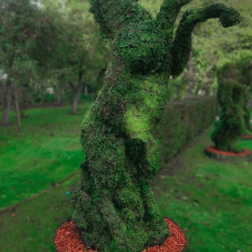 žirgas arklys vytis remas topiary augalu skulptura tujos