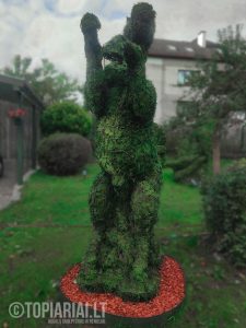 žirgas arklys vytis remas topiary augalu skulptura tujos