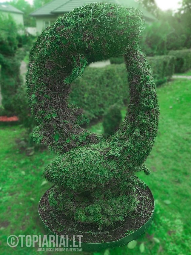 zodiako zenklas zuvys remas topiary augalu skulptura tujos