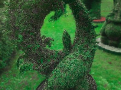 zodiako zenklas zuvys remas topiary augalu skulptura tujos